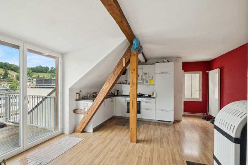 Attractive capital investment with stable rental income! (15)