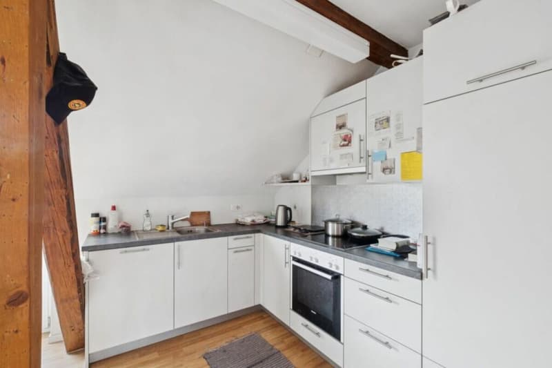 Attractive capital investment with stable rental income! (4)