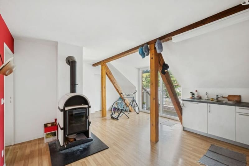 Attractive capital investment with stable rental income! (10)