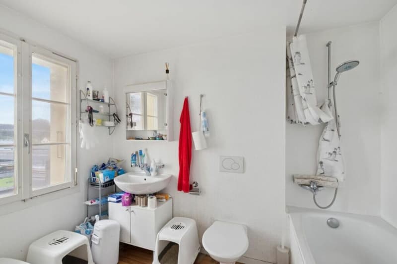 Attractive capital investment with stable rental income! (13)