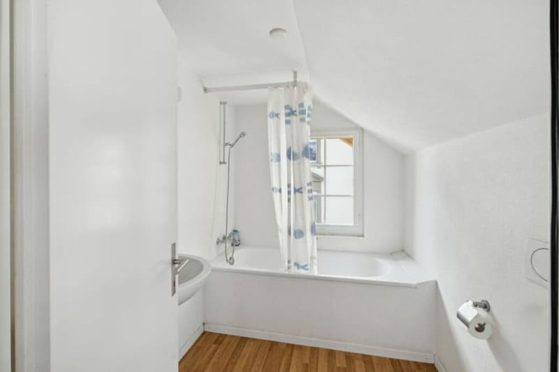 Attractive capital investment with stable rental income! (14)