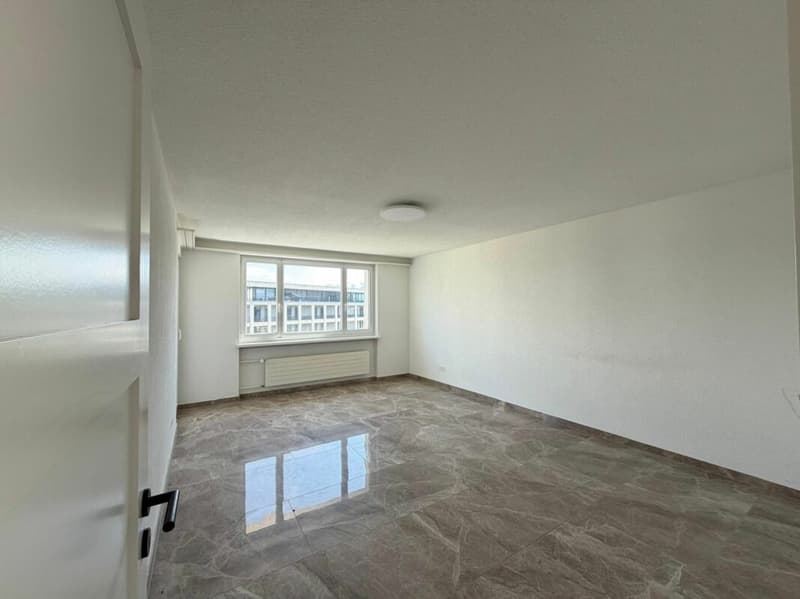Freshly renovated and ready for immediate occupancy! (8)