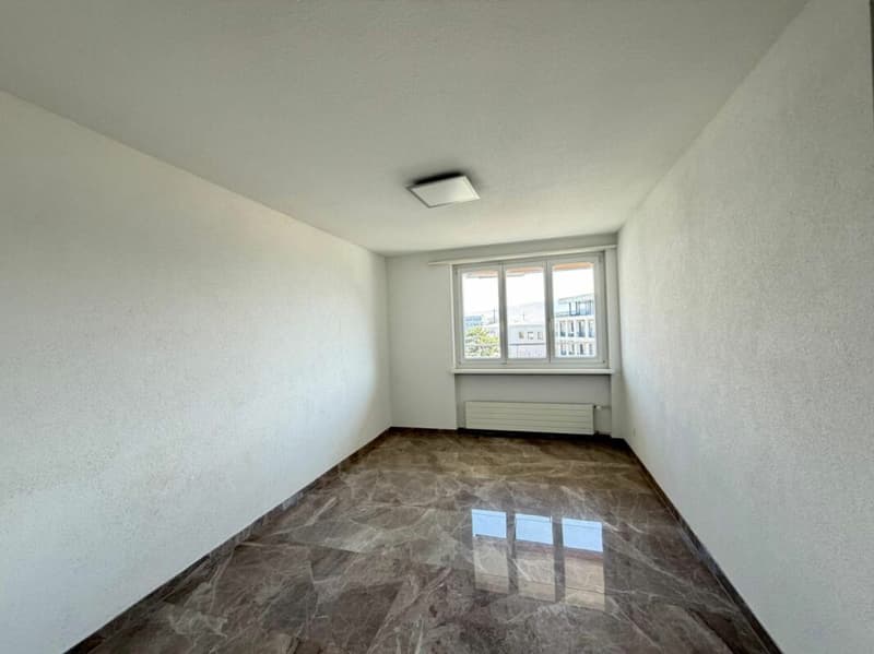 Freshly renovated and ready for immediate occupancy! (11)