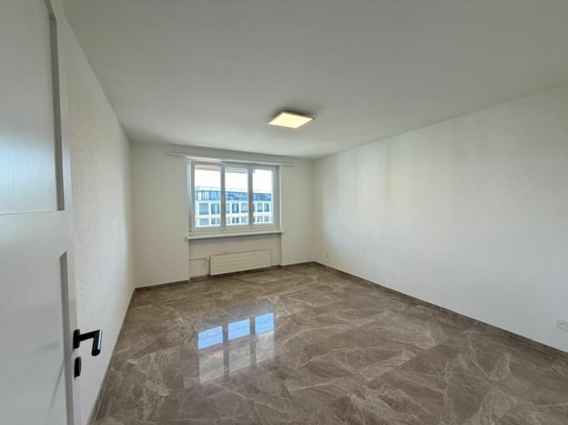 Freshly renovated and ready for immediate occupancy! (9)