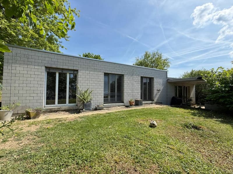 Living on one level with a garden idyll! (10)