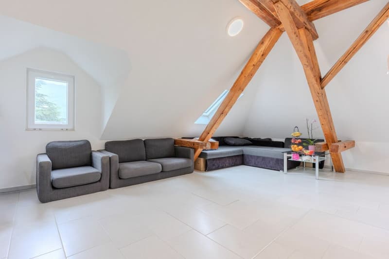 Immeuble d'habitation et de commerce rénové avec un potentiel de rendement attractif ! (10)