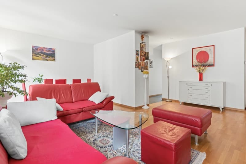 Zürich vor der Tür. Zuhause im Herzen! (4)