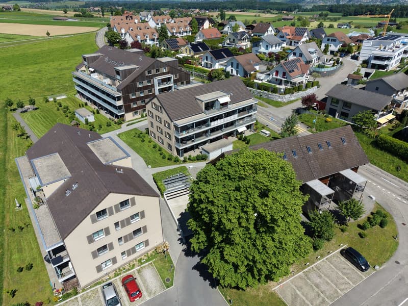 Hobbyraum / Zusatzkeller zu vermieten in Abtwil (1)