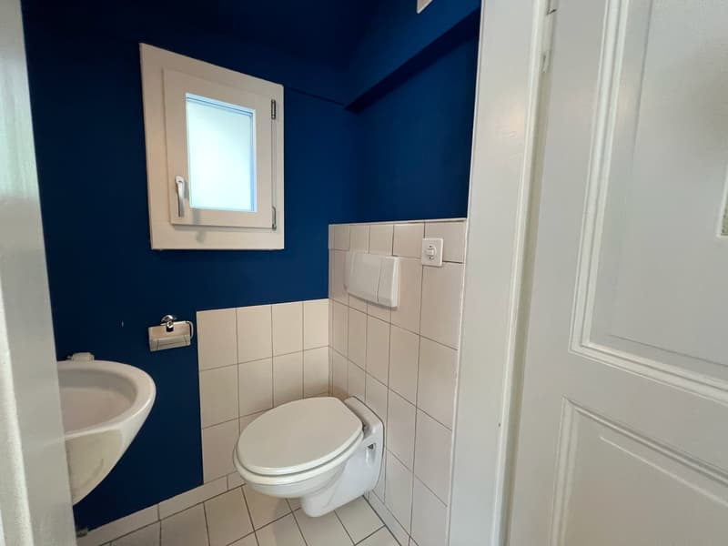 House-in-house feeling: Spacious 4-room maisonette apartment in Binningen (13)