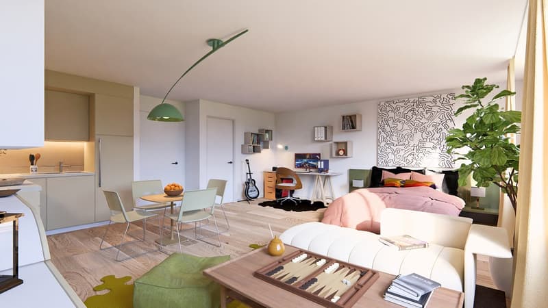 Sale of 25 apartments from studio to 5.5 rooms in Siviriez (2)
