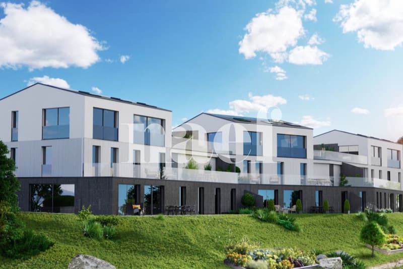 Apartment/Villa with 5.5 rooms and breathtaking views for sale in Sorens (6)