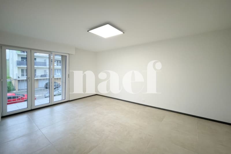 Beautiful 3.5-room apartment renovated ? tenant in place, yield 3.7% (5)