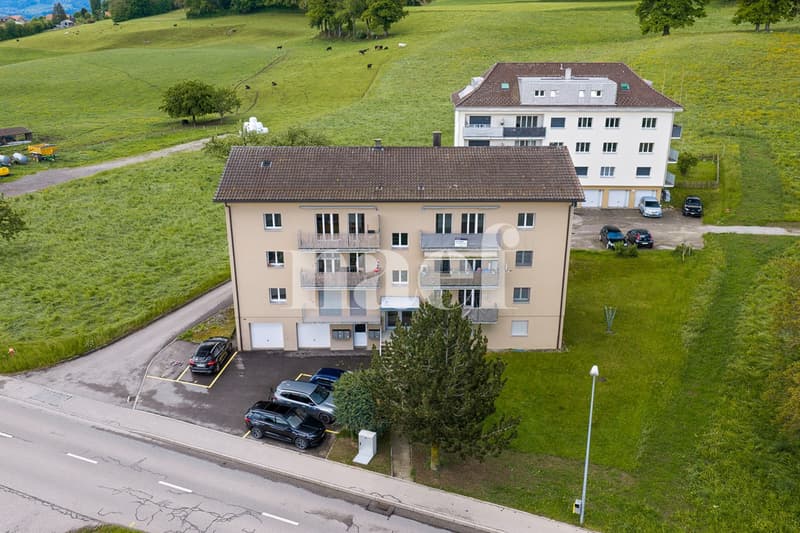 Beautiful 3.5-room apartment renovated ? tenant in place, yield 3.7% (1)