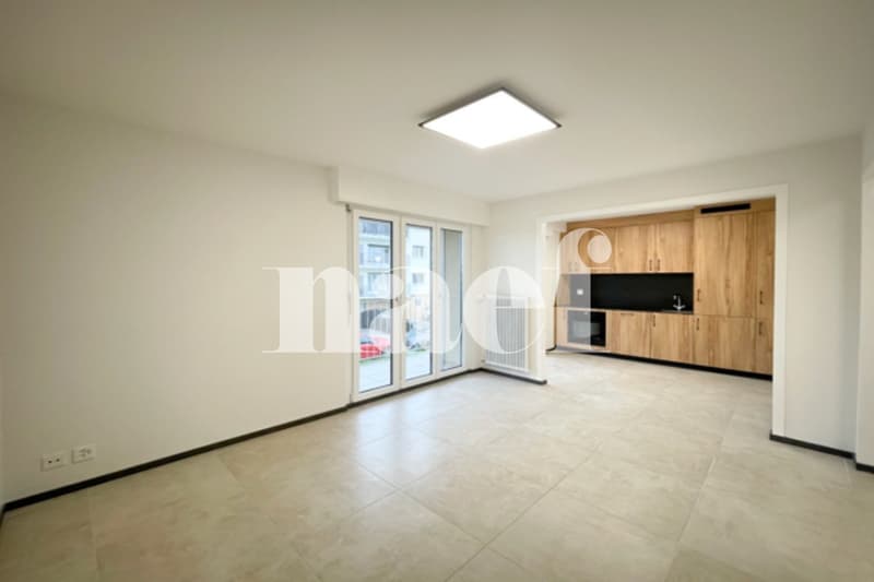 Beautiful 3.5-room apartment renovated ? tenant in place, yield 3.7% (3)
