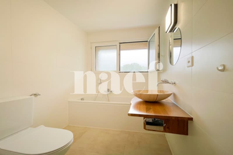 Beautiful 3.5-room apartment renovated ? tenant in place, yield 3.7% (4)
