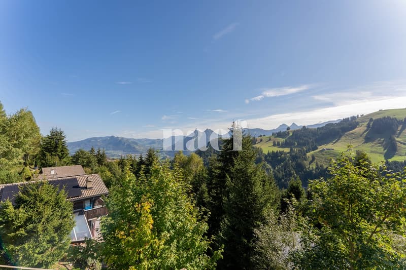Chalet soigné dans un cadre d'exception à vendre à Moléson-sur-Gruyères (10)