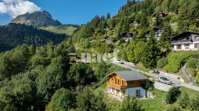 Chalet soigné dans un cadre d'exception à vendre à Moléson-sur-Gruyères (1)