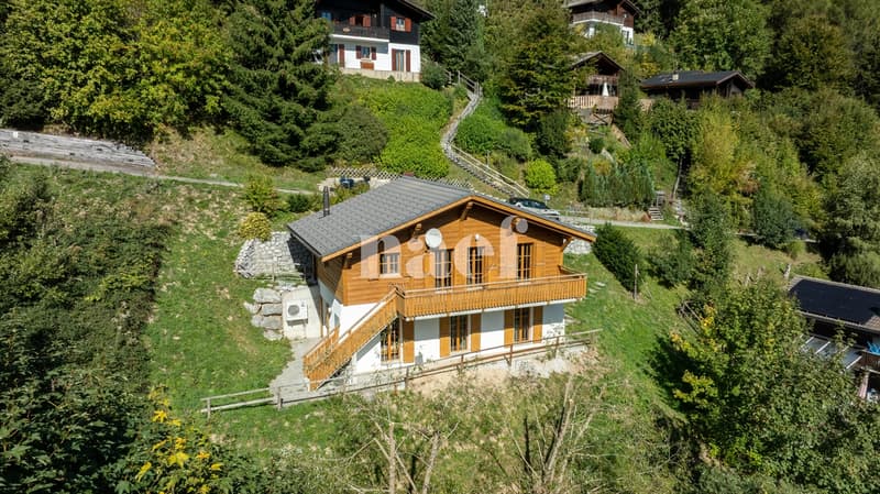 Chalet soigné dans un cadre d'exception à vendre à Moléson-sur-Gruyères (2)