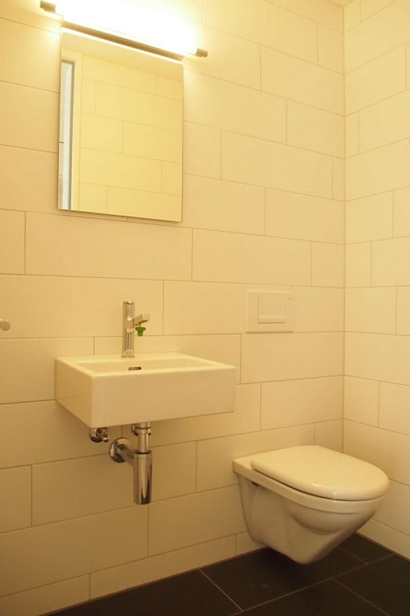 Appartement maisonnette lumineux sur Muri-Allee ! (7)