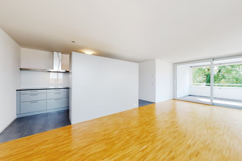 Wohnzimmer / Küche