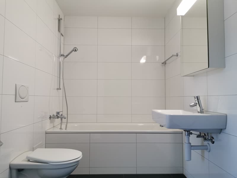 Appartamento in attico affascinante! (4)