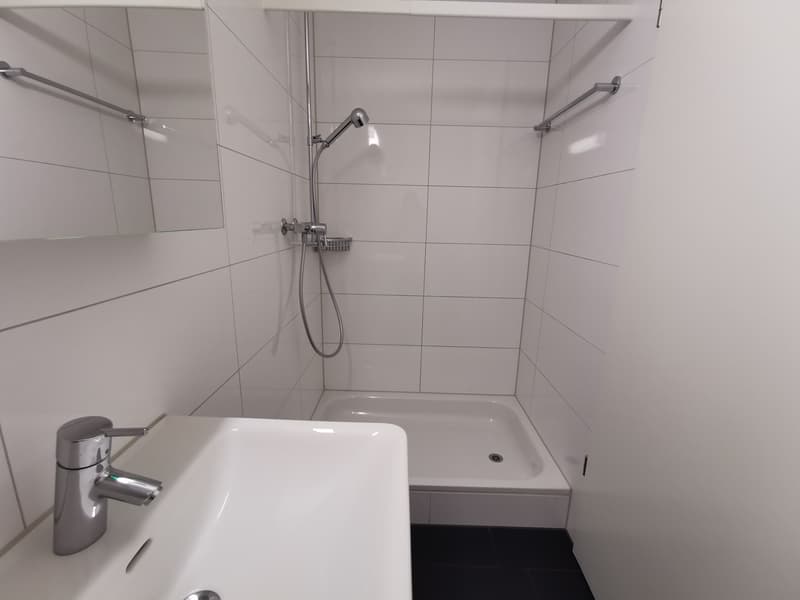 Appartamento in attico affascinante! (5)