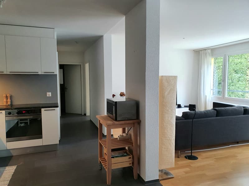 Wohnzimmer / Küche