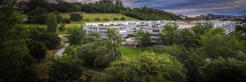 Liegenschaft