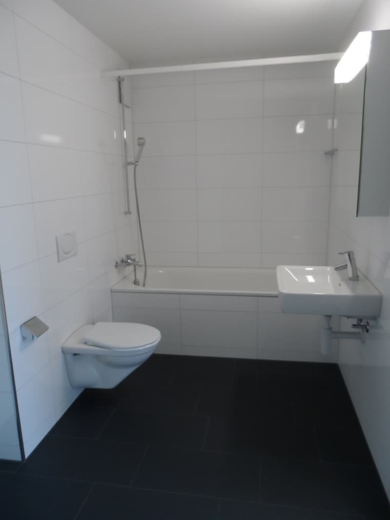 4.5-room apartment with two terraces! (2)