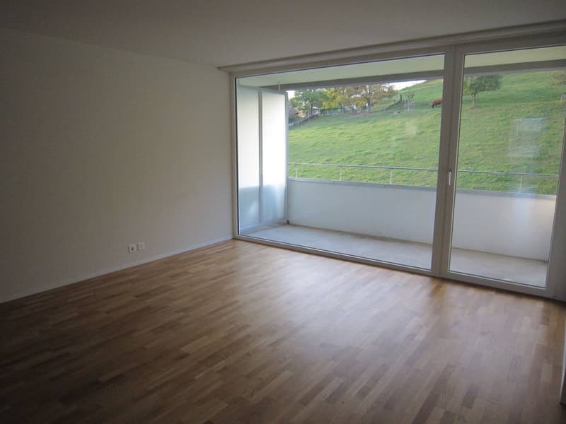 4.5-room apartment with two terraces! (3)
