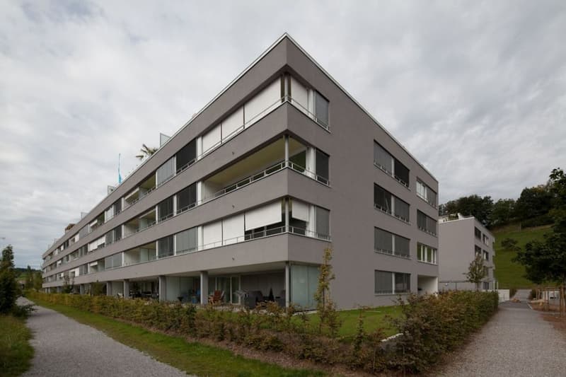 Schöne, moderne 3.5-Zimmer-Wohnung (1)