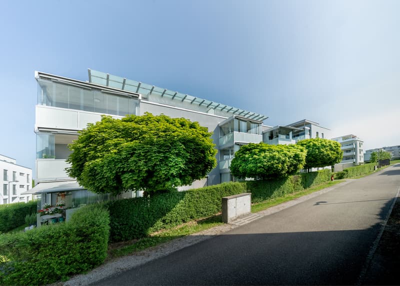 Familienwohnung im Oberaargau! (1)