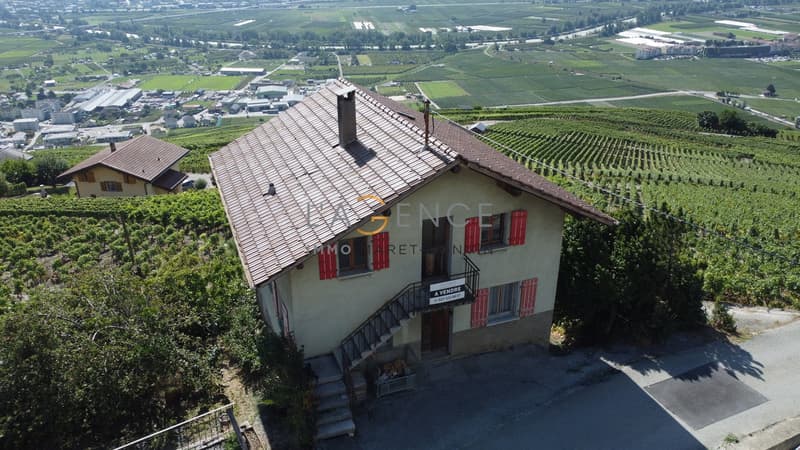 House to renovate - Great opportunity (2)