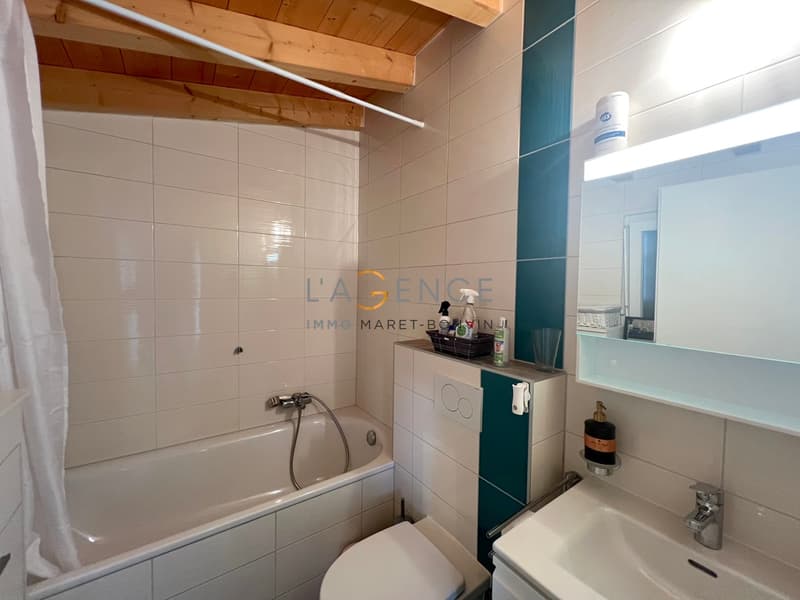 APARTMENT 3.5 ROOMS AND 1.5 ROOMS STUDIO WITH RENTAL INCOME (4)