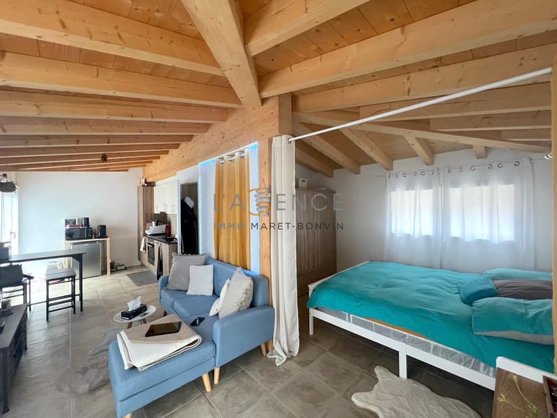 APARTMENT 3.5 ROOMS AND 1.5 ROOMS STUDIO WITH RENTAL INCOME (6)