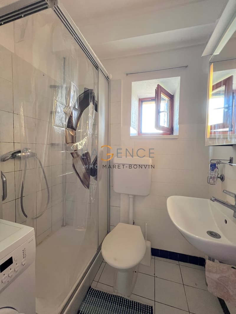 3.5 room apartment in Bramois with 222m2 land (5)