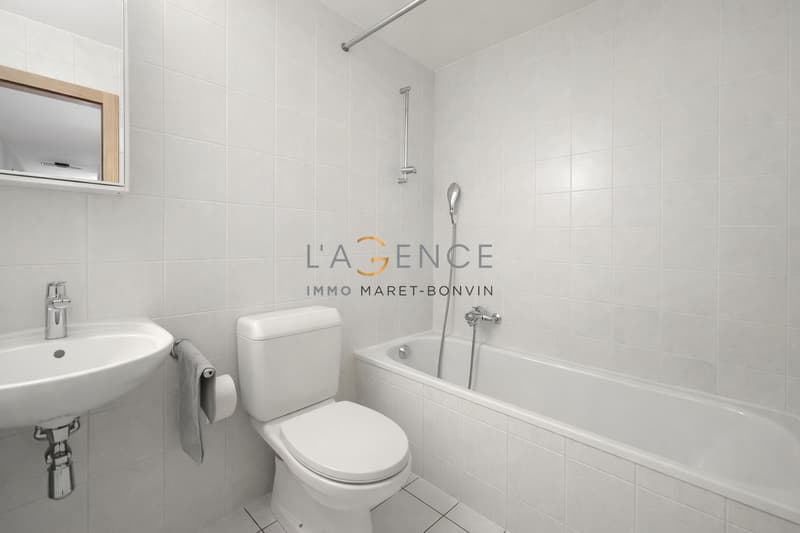 APARTMENT OF 4.5 PCS AT 5 MINUTES FROM SION - CHAMPLAN (6)