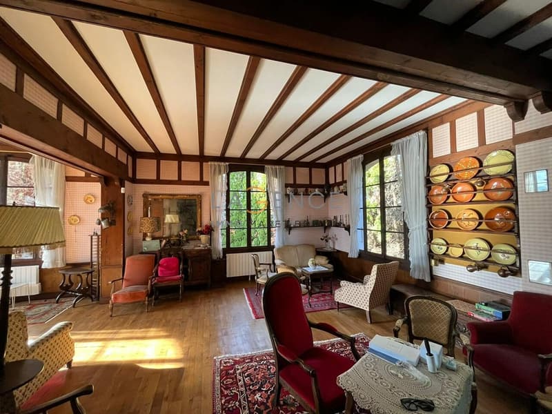 Magnifique maison de Maitre sur 6500M² ! (4)