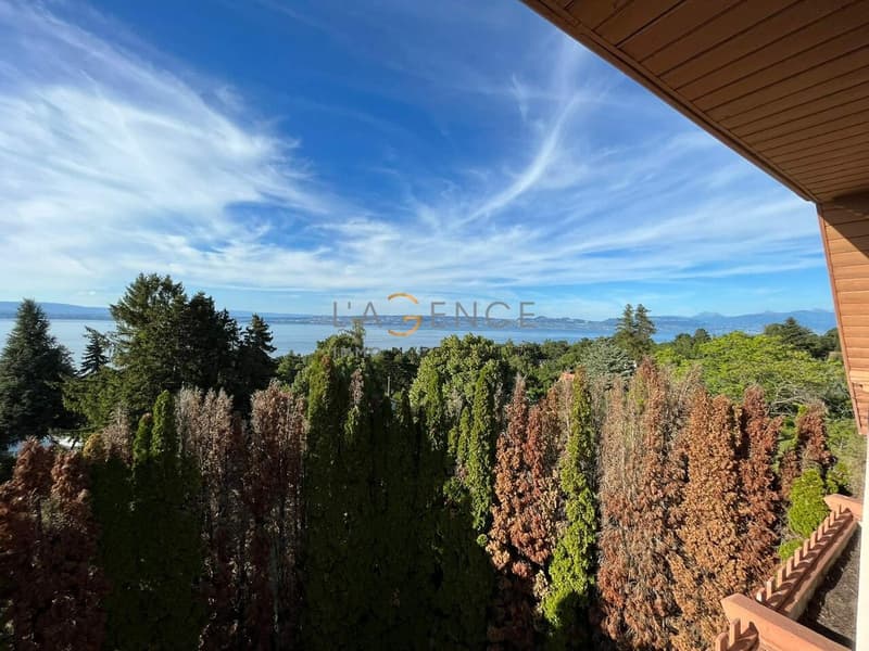 Magnifique maison de Maitre sur 6500M² ! (5)