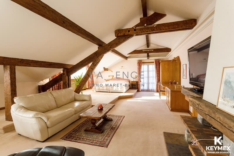 St Paul en Chablais ferme de 576m² sur parcelle de 8000m². (6)