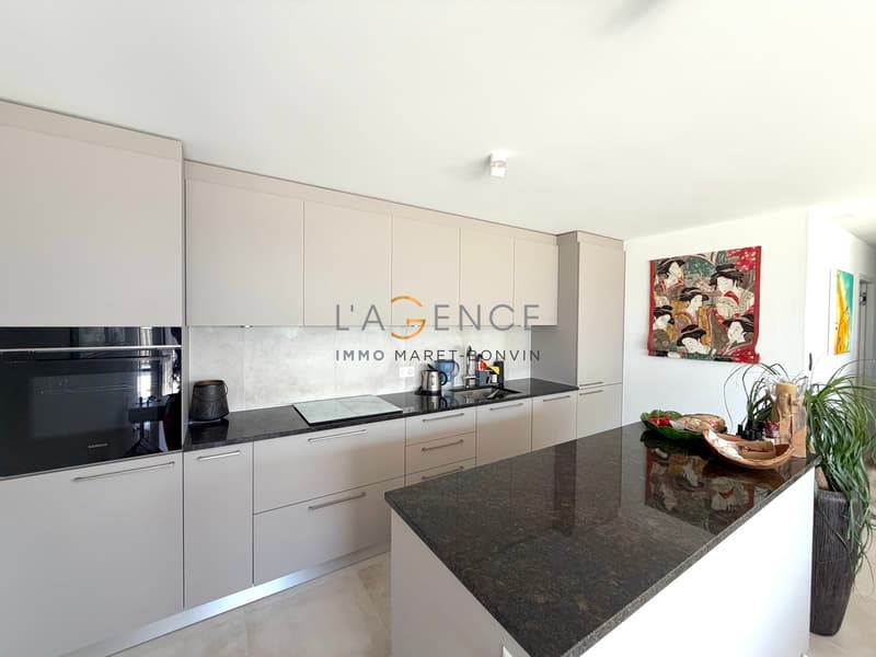 APPARTEMENT DE 4,5 PCES AVEC TERRASSE DE 40M2 - SIGNESE (3)