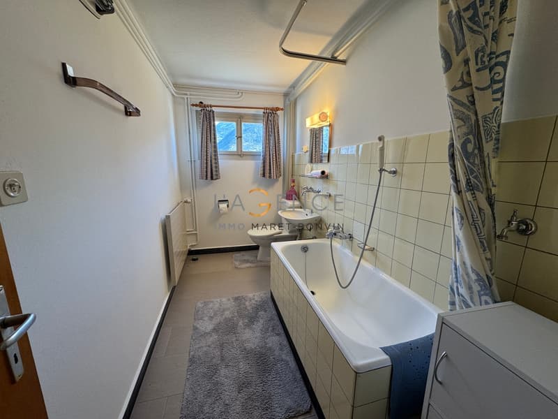 Maison individuelle au coeur du vignoble Valaisan ! (6)