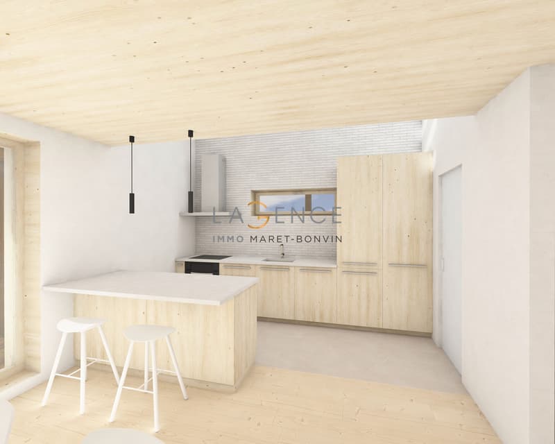 Raccard - projet de rénovation ! (7)
