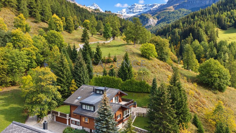 L'ELEGANCE D'UN GRAND CHALET PRIVE FACE AUX ALPES (1)