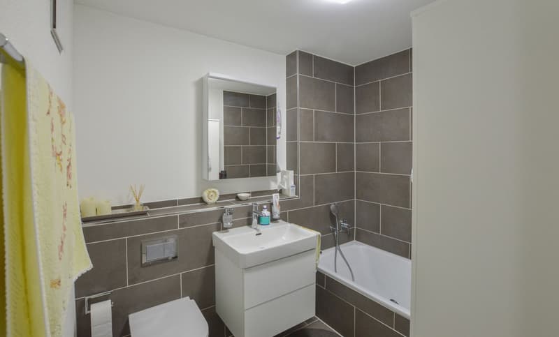 Modern 4-room apartment in a quiet location in Fahrwangen (10)