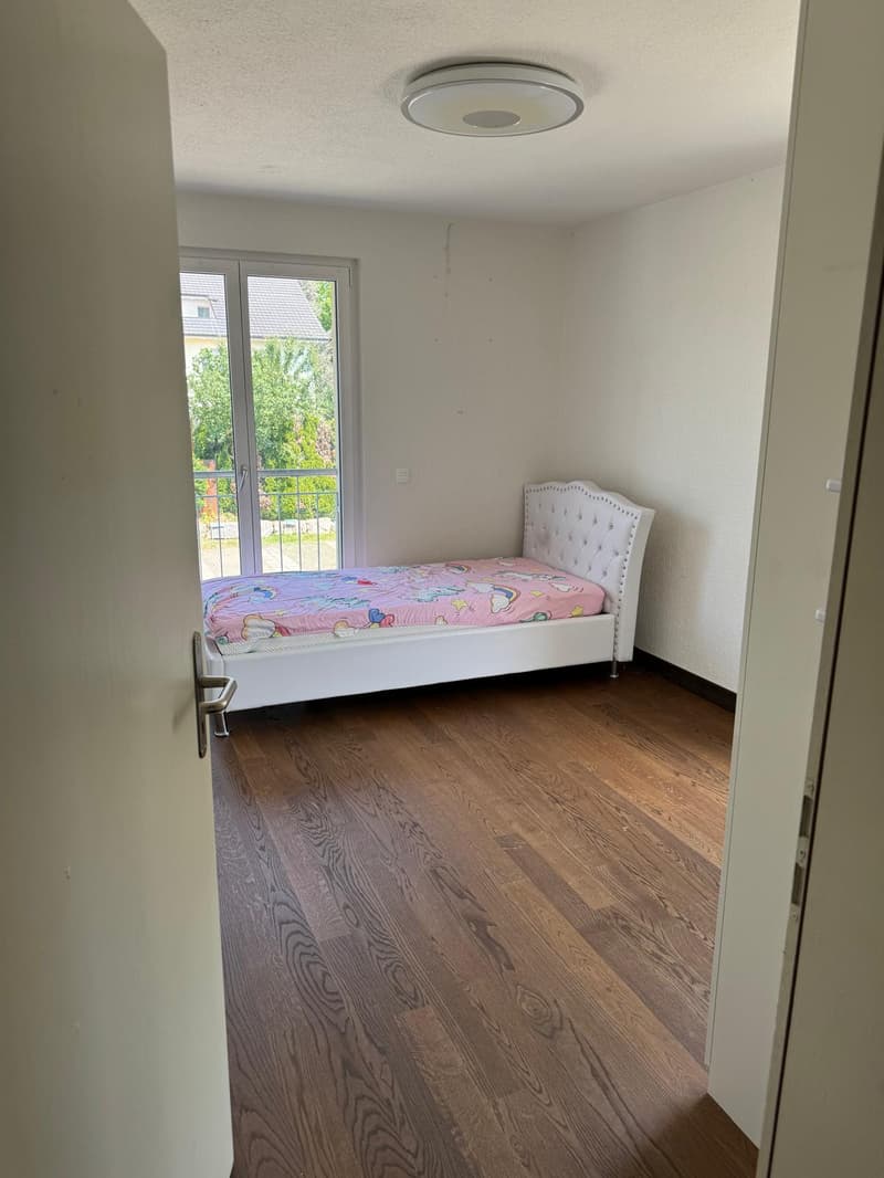 Affascinante casa a schiera di 6,5 locali sulla Bahnhofstrasse a Dottikon (10)