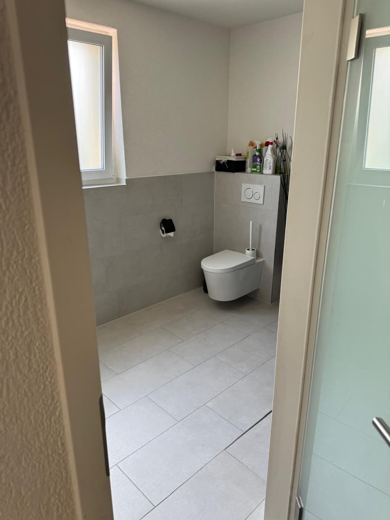 Affascinante casa a schiera di 6,5 locali sulla Bahnhofstrasse a Dottikon (12)