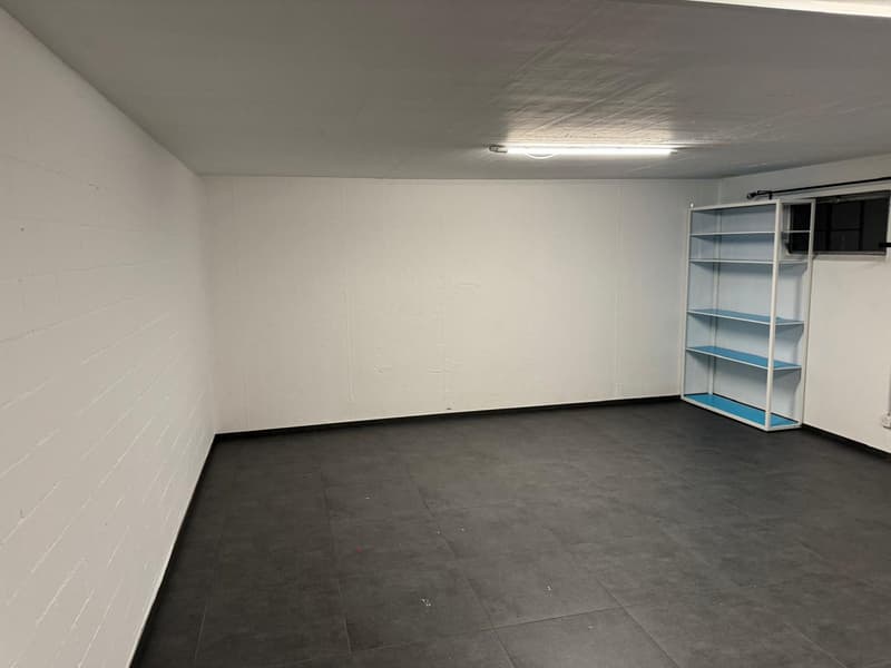 Affascinante casa a schiera di 6,5 locali sulla Bahnhofstrasse a Dottikon (13)