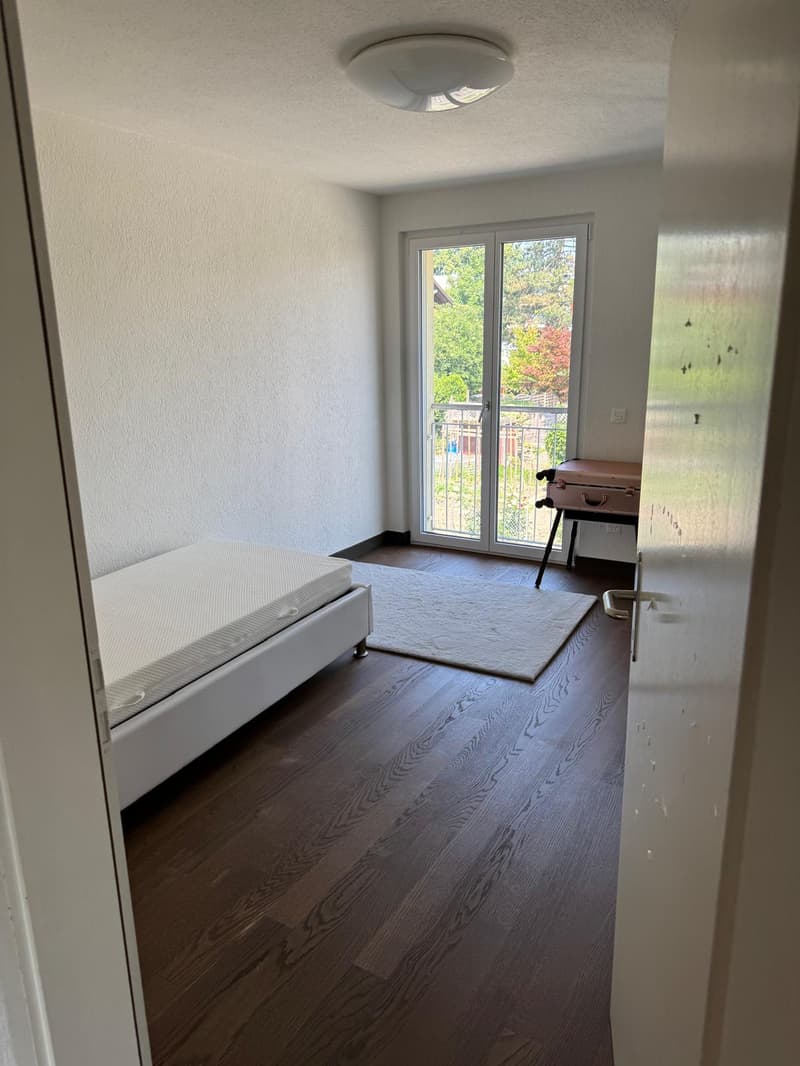 Affascinante casa a schiera di 6,5 locali sulla Bahnhofstrasse a Dottikon (3)