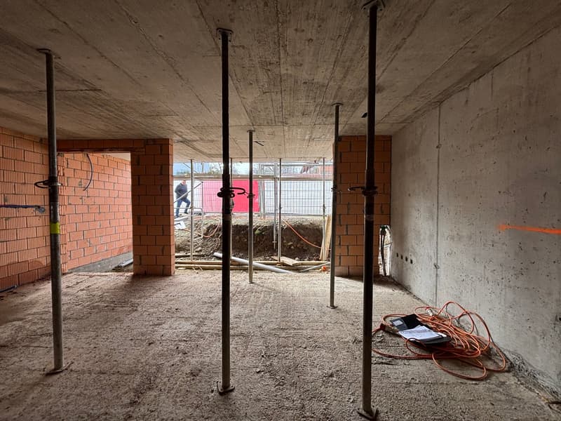 Rohbau Reinach AG: 2 x 3.5-Zimmer-Wohnungen, ca. 175 m2 (5)